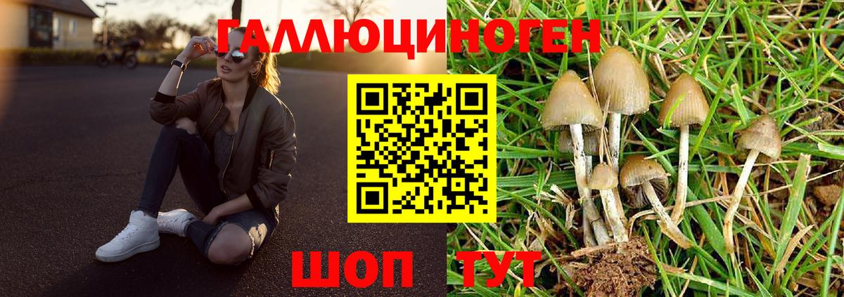 наркотики  Вход с VPN  Вологда  Галлюциногенные грибы GOLDEN TEACHER  Галлюциногенные грибы мицелий 