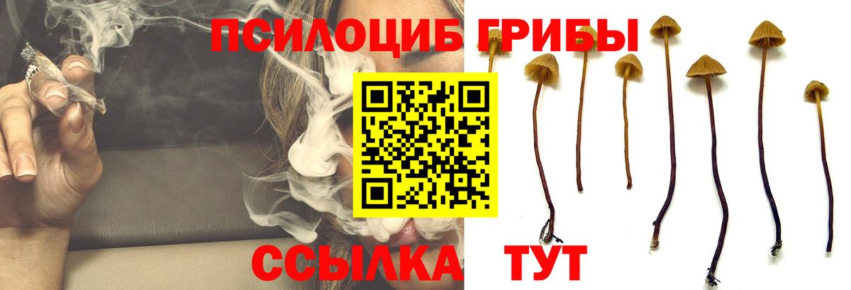 Галлюциногенные грибы GOLDEN TEACHER Вологда